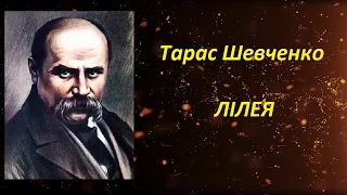 Лілея Тарас Шевченко 