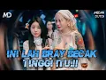 Lagu INI LAH BRAY BECAK TINGGI ITU DJ MEDAN DUTCH 2025