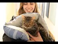 Idaho Humane Society WISKR Program