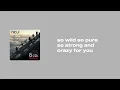 Nidji - Rahasia Hati (Lyrics)