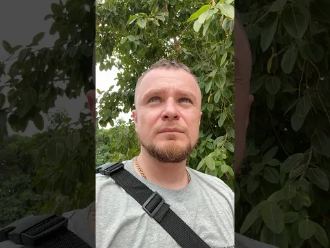 ТБшник в Тайланде