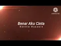 Download Lagu Benar Aku Cinta - Ronnie Hussein | OST Lara Kasih (lirik)
