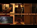 Download Lagu SIAPA YANG KETOK PINTU?! MENGINAP SENDIRI DIRUMAH POHON DITENGAH HUTAN !!!