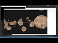 OpenGL - instancing