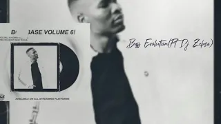 pro tee bass evolution ft dj zebra 