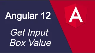 Angular 12 tutorial Get Input field Value