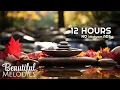 Relaxing Meditation Music And Water Sounds For Deep Sleep - Relaxing Music Spa Water Fountain