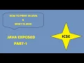 What is Java How to Print in Blue-J using JavaScript Expose-1