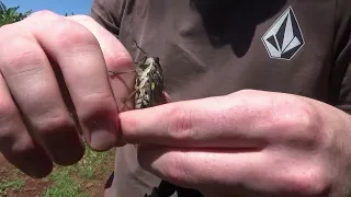 Mais Uma Gostosa Manhã de Sábado na Fazenda Bimini - 27/10/2026