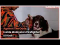 Download Lagu Against The Odds: Inside Malaysia's Firefighter K9 Unit