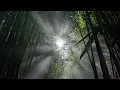 Fatboy Slim - Right Here Right Now (Slowed + Reverb)
