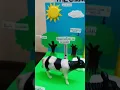 Carbon Cycle Model Made by me Science Project Very Easy to make