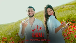                          غزالي                        دندنها