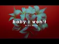 Danny Ocean - Baby I Won't (Official Audio)