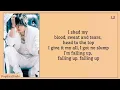 Download Lagu Stray Kids (스트레이 키즈) - Falling Up (English Version) Lyrics [Tower of God 2 OST] | PopDuoMusic
