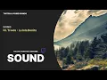 YouTube & Twitch | Hr. Troels - La Isla Bonita