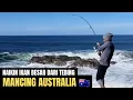Download Lagu Mancing Australia | Tantangan Narik Ikan Besar Keatas Tebing Bikin Patah Hati