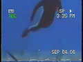 Steve Irwin death tape Remake