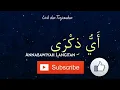 Download Lagu Ayyu Dzikro An-nabawiyah Langitan | @TRZ Lyrics