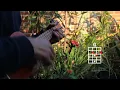 Te Quiero Un Poco - Carlos Sadness Ukulele Tutorial Acordes