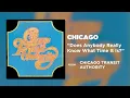 Does Anybody Really Know What Time It Is? (2002 Remaster) - Chicago