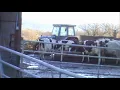 Download Lagu Melktijd terwijl de anderen hun gang gaan. Zijn er aanbiedingen voor de Scraper Tractor Identity?