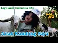 Download Lagu Lagu Anak Indonesia | Hits dan Populer | Lagu Anak Kambing Saya Caca Marica