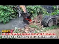 Lagu NGERI‼️AKSI EXCAVATOR SARANG PREDATOR DIBONGKAR ULAR TIBA TIBA MUNCUL DARI LOKASI NOMALISASI