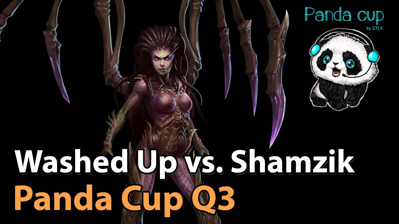 ► Team Shamzik vs. Washed Up - Panda Cup Q3 -  Heroes of the Storm Esports