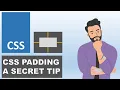 CSS Padding Property Expert Tips CSS Padding for Box Modal CSS Tutorial Knowledge MeetUp