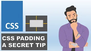 CSS Padding Property Expert Tips CSS Padding for Box Modal CSS Tutorial Knowledge MeetUp