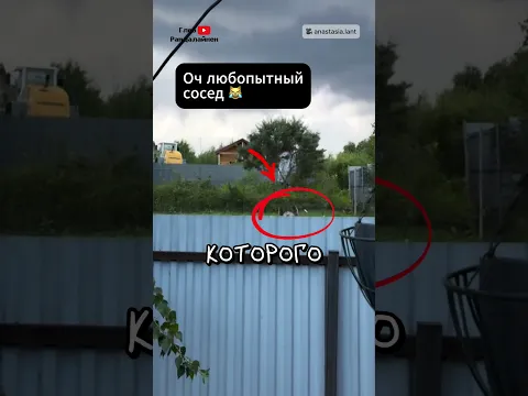 Самый Любопытный Сосед 😹