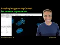 Labeling images using QuPath for semantic segmentation