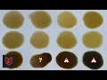 Which Motorcycle Manufacturer is Best Laboratory Test