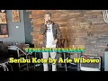 Download Lagu Seribu Kota (COVER)Ari Wibowo