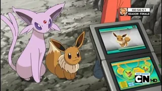 Eevee Pokedex Entries wmv
