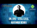 Download Lagu Dr. Dre - Still D.R.E.  Marimba ringtone remix