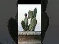 Download Lagu Discover Enna the Unconquered Heart of Sicily in under a Minute #shorts