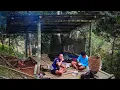 Download Lagu สร้างบ้านกลางสวนทุเรียน30-40% มุงหลังคากันฝนอย่างดี ปูเสื่อกางมุ้งนอนหลับสบายไม่กลัวยุงแมลง
