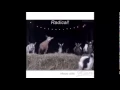 Download Lagu RADICAL WHIP-  GOAT JUMP (KIDS)