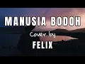 Download Lagu Manusia Bodoh - Ada Band | Cover Felix