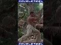 Download Lagu Van Damme Smashing The Pads In Style #jeanclaudevandamme #jcvd #vandamme
