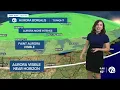Marisa Woloszyn 2024 WXYZ ABC7