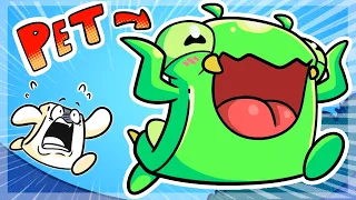 My Pet Mantis was a Menace