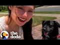 Rescue Dog Finds His Biological Dad Through A DNA Test The Dodo