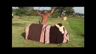 sethunya sea luma pharanyane vol 1 hehlemela peipi