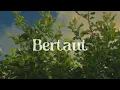 Download Lagu Nadin Amizah - Bertaut [ 1 jam ]
