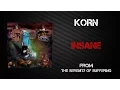 Korn - Insane [Lyrics Video]