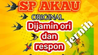 sp walet akau original jernih revisi antor walet 