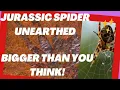 GIANT Prehistoric Creatures You Won t Believe Existed